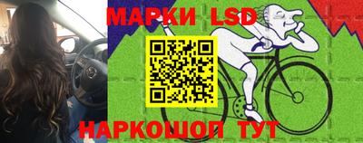 spice Краснодар
